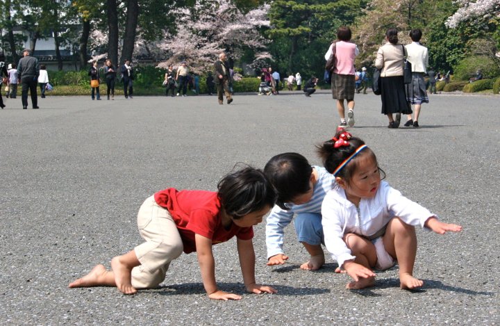 Sunshine kids travel car seat; japan travel guides: japan travel site: 